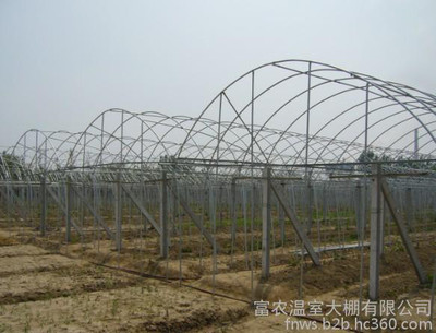 天津富農(nóng)溫室大棚 高品質(zhì)管材、單體與連體大棚及農(nóng)業(yè)機(jī)械配件一站式供應(yīng)