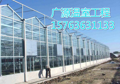 智能連棟花卉溫室 空間大、保溫好，現代農業機械的典范